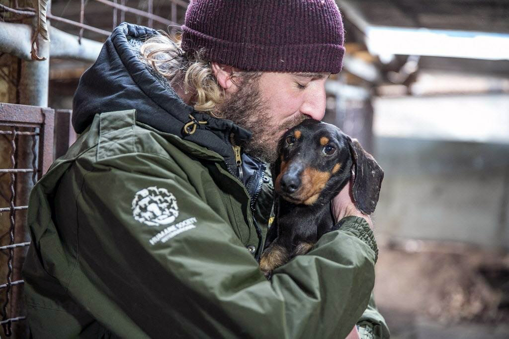 Jack and a rescued dachshund while working in disaster response and animal rescue with the Humane Society