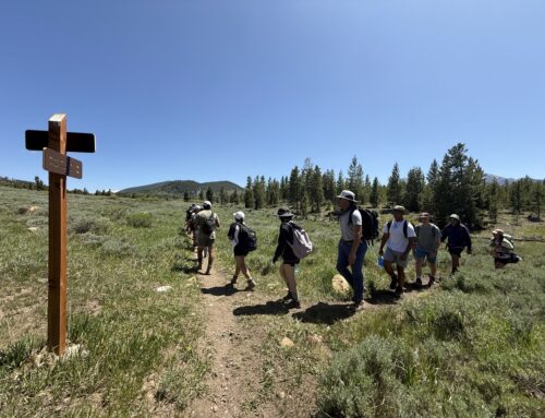 A Record-Breaking Summer of Wilderness Programs at BOEC