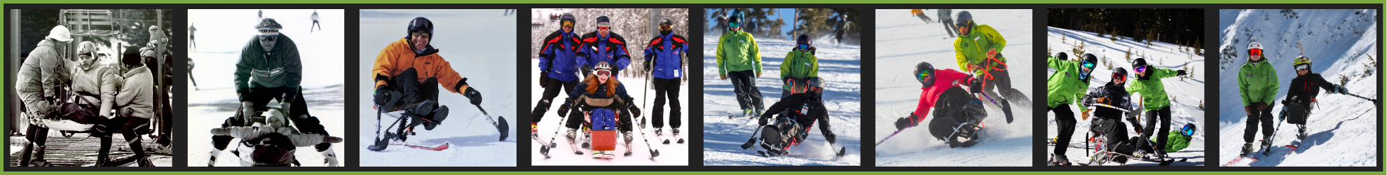 Website Skinny Banner